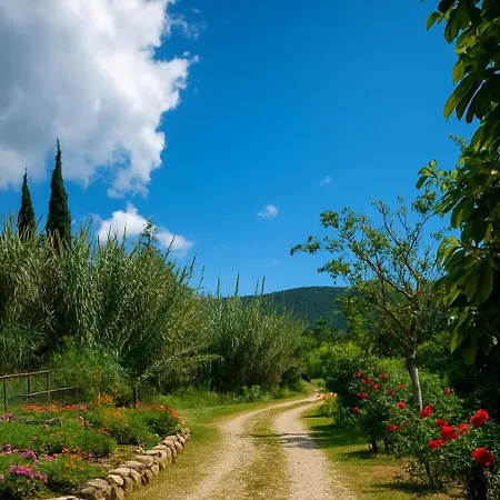 Apartment Rodanthy Iii Katelios